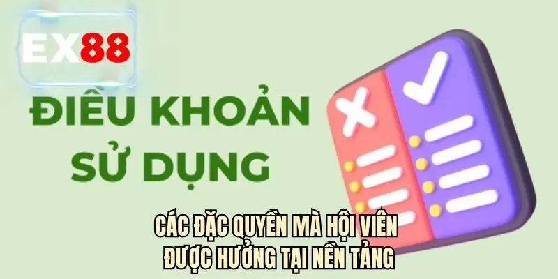 Các đặc quyền mà hội viên được hưởng tại nền tảng
