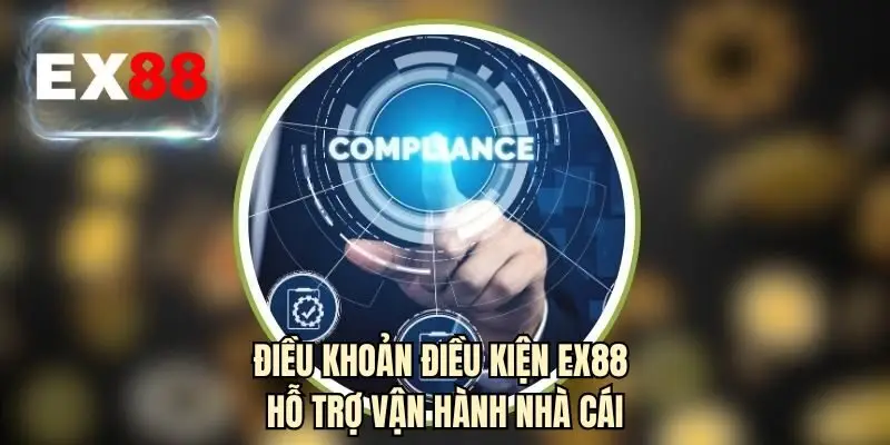 Điều khoản điều kiện EX88 hỗ trợ vận hành nhà cái